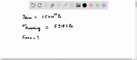assume-youngs-modulus-for-bone-is-150-x-1010-nm2-the-bone-breaks-if-stress-greater-than-0-59183-nm2-is-imposed-on-it-what-is-the-maximum-force-in-newton-that-can-be-exerted-on-the-femur-bone-11785