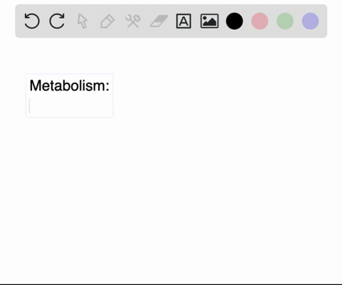 the-process-of-splitting-larger-molecules-into-smaller-ones-is-an-aspect-of-metabolism-called-a-an-2-63766