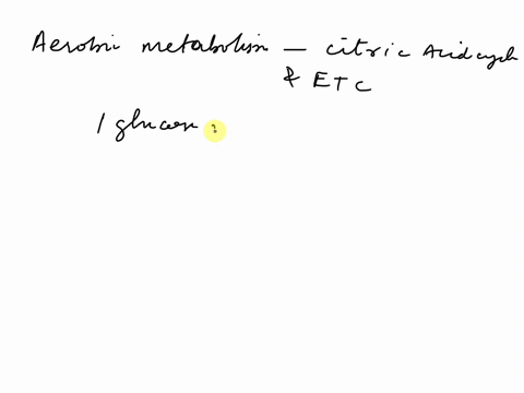 aerobic-metabolism-includes-both-the-citric-acid-cycle-also-known-as-the-krebs-cycle-and-the-electron-transport-system-which-produces-a-total-of-select-around-32-4-around-28-2-atp-from-each-71243