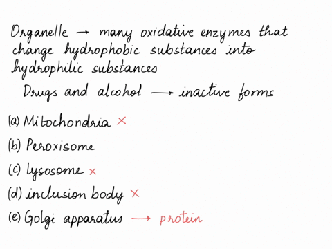 which-organelle-contains-many-oxidative-enzymes-that-change-hydrophobic-substances-into-hydrophilic-substances-and-is-responsible-for-breaking-down-prescriptions-drugs-and-alcohol-into-inact-02793