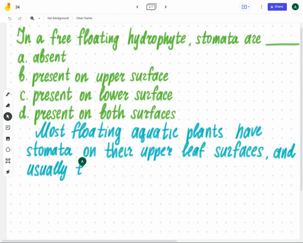 SOLVED The floating leaves of an aquatic plant has (a) stomata on the