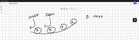 question-8-the-electrons-of-________________-are-donated-to-the-first-complex-of-the-electron-transport-chain-and-as-a-result-______________________-are-transported-across-the-inner-membrane-36925