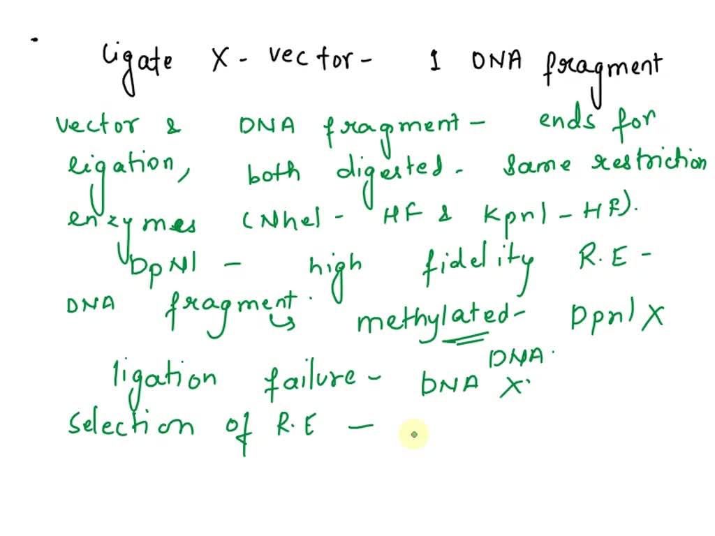 Solved: Suppose That You Wanted To Ligate X-vector ( 8 Kb) With One Dna 