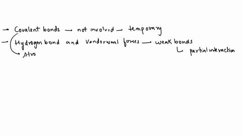 as-part-of-their-normal-function-insulin-receptors-bind-to-insulin-but-eventually-release-it-which-type-of-bond-would-not-be-involved-in-these-transienttemporary-protein-protein-interactions-93495