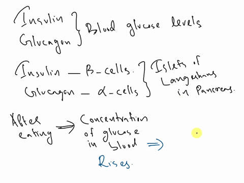 what-is-the-effect-of-insulin-on-blood-glucose-levels-what-is-the-effecr-of-glucagon-on-blood-glucose-levels-70254