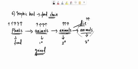 parasitism-question-6-how-much-energy-is-passed-up-through-each-trophic-ievel-in-j-food-chain-10096-196-1096-5096-question-7-match-each-example-t0-its-place-in-an-ecological-food-web_-cow-th-93864