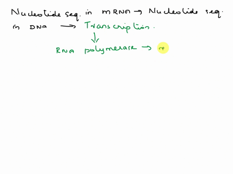mrna-sequenca1i-the-nucleotide-sequence-in-mrna-is-determined-by-muttiple-choice-the-nucleotide-sequence-in-trna-all-answer-choices-are-correct-the-order-of-amino-acids-in-the-protein-the-nu-09712