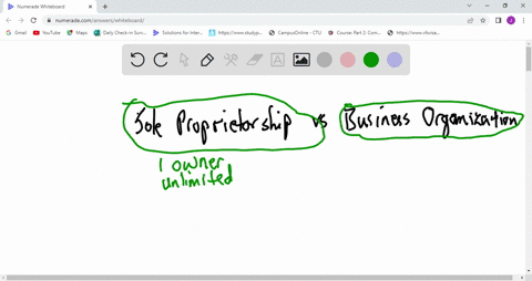 explain-the-relationship-between-the-terms-in-each-of-these-pairs-a-business-organization-sole-propr-42198
