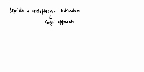 feedback-how-are-newly-made-lipids-supplied-to-the-plasma-membrane-choose-one-via-secretory-vesicles-produced-by-the-regulated-exocytosis-pathway-via-lysosomes-via-vesicles-that-bud-from-the-68338