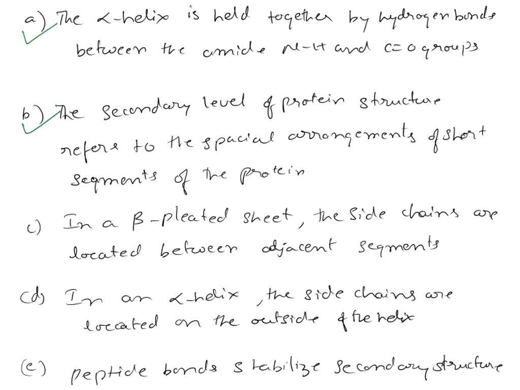 SOLVED Select the true statements about protein secondary structure