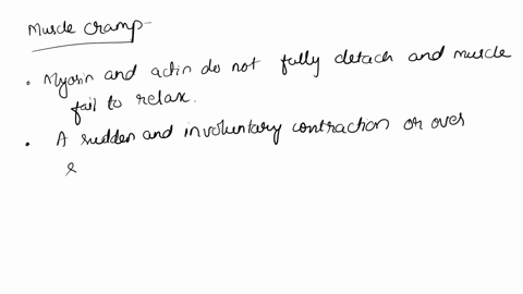 a-muscle-cramp-is-a-sudden-painful-contraction-of-a-muscle-during-which-movement-is-difficult-what-is-happening-at-the-cellular-level-during-a-muscle-cramp-36279