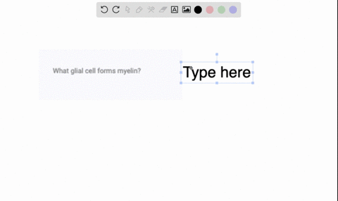 what-glial-cell-forms-myelin-92991