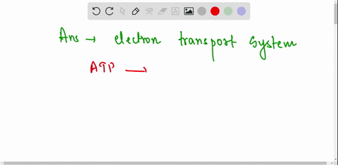 which-stage-of-cellular-respiration-generates-the-most-atp-molecules-11032