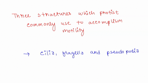 question-8-1-pts-what-are-three-structures-which-protists-commonly-use-to-accomplish-motility-movement-pseudopods-flagellum-cilium-fission-conjugation-and-reproduction-flagellum-cilium-and-t-95434