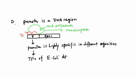 you-will-learn-more-about-genetic-engineering-in-chapter-10-but-for-now-put-on-your-genetic-engine-2-20195