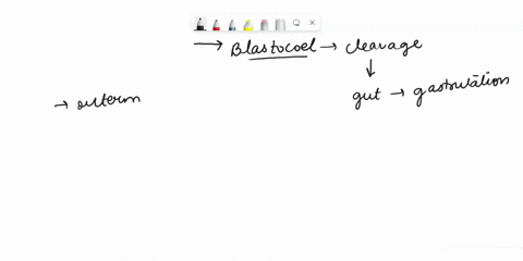i-needed-help-if-these-are-correct-if-not-please-show-the-answer-and-explain-please-theblankforms-during-cleavage-and-blastocoel-is-displaced-by-the-primitive-gut-during-gastrulation-he-oute-88765