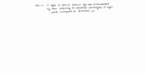 the-three-types-of-cones-are-differentiated-by-their-_________-color-absorptionpeak-light-capacity-neurotransmitter-outer-segment-shape-03434
