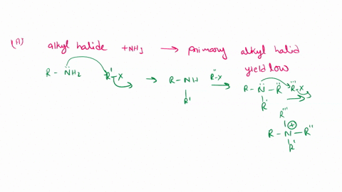 explain-why-the-reaction-of-an-alkyl-halide-with-ammonia-gives-a-low-yield-of-primary-amine-as-soon-as-the-primary-amine-is-formed-it-yields-only-elimination-product-as-soon-as-the-primary-a-13936