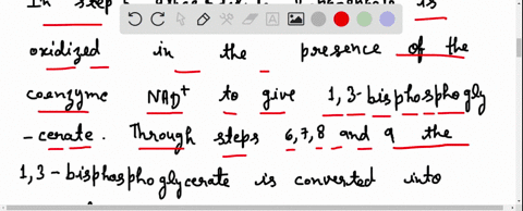 a-at-which-step-of-the-glycolysis-pathway-does-nad-participate-see-figures-28-3-and-28-4-b-at-which-26967
