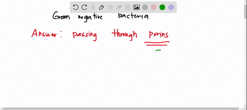 in-a-gram-negative-organism-small-molecules-move-into-the-periplasm-from-outside-of-the-cell-by-passing-through-porins-diffusing-freely-through-the-peptidoglycan-layer-attaching-to-lipid-a-e-24806
