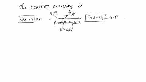 hydrolysis-reactions-for-some-biochemically-important-phosphate-compounds-phosphate-compound-hydrolysis-products-ag-kjmol-phosphoenol-pyruvate-pep-hz0-13bis3h-3-bisphosphoglycerate-hzo-adeno-53396