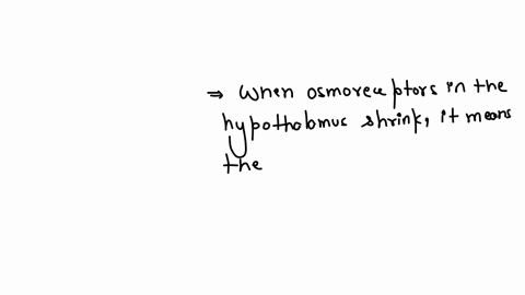 when-ostrioreceptors-in-the-hypothalamus-shrink-the-posterior-pituitary-gland-releases-adh-the-bodys-response-to-this-is-feeling-the-need-to-urinate-select-one-true-false