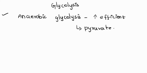 2-rapid-glycolysis-during-strenuous-exercise-provides-the-atp-needed-for-muscle-contraction-since-the-lactate-dehydrogenase-enzyme-does-not-produce-any-atp-would-anaerobic-glycolysis-be-more-67354