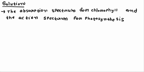 why-do-the-absorption-spectrum-for-chlorophyll-and-the-action-spectrum-for-photosynthesis-coincide-a-41902