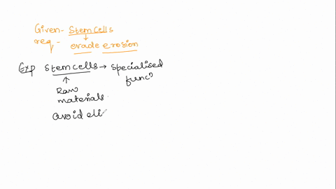 19-stem-cells-can-continue-to-divide-indefinitely-what-is-the-reason-they-are-able-to-evade-erosion-polymerase-b-telomerase-c-ligase-d-topoisomerase-85104