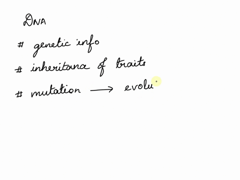 what-does-dna-contain-the-chromosomes-that-build-proteins-the-coded-blueprint-for-life-the-ability-to-translate-rna-code-the-factors-for-heredity-called-alleles-62924