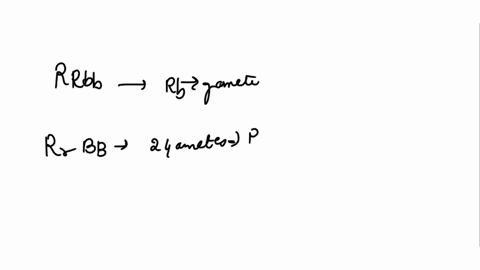 how-many-unique-gametes-can-organisms-with-each-of-tha-following-genotypes-produce-rrbb-rrbb-rrbb-rbb-aabbrr-aabbrr-aabbrrdd-in-genetcs-experiments-with-garden-peas_-pant-with-purple-flowers-83849