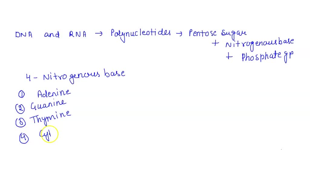 solved-hich-letter-depicts-the-correct-complementary-base-pairing-a