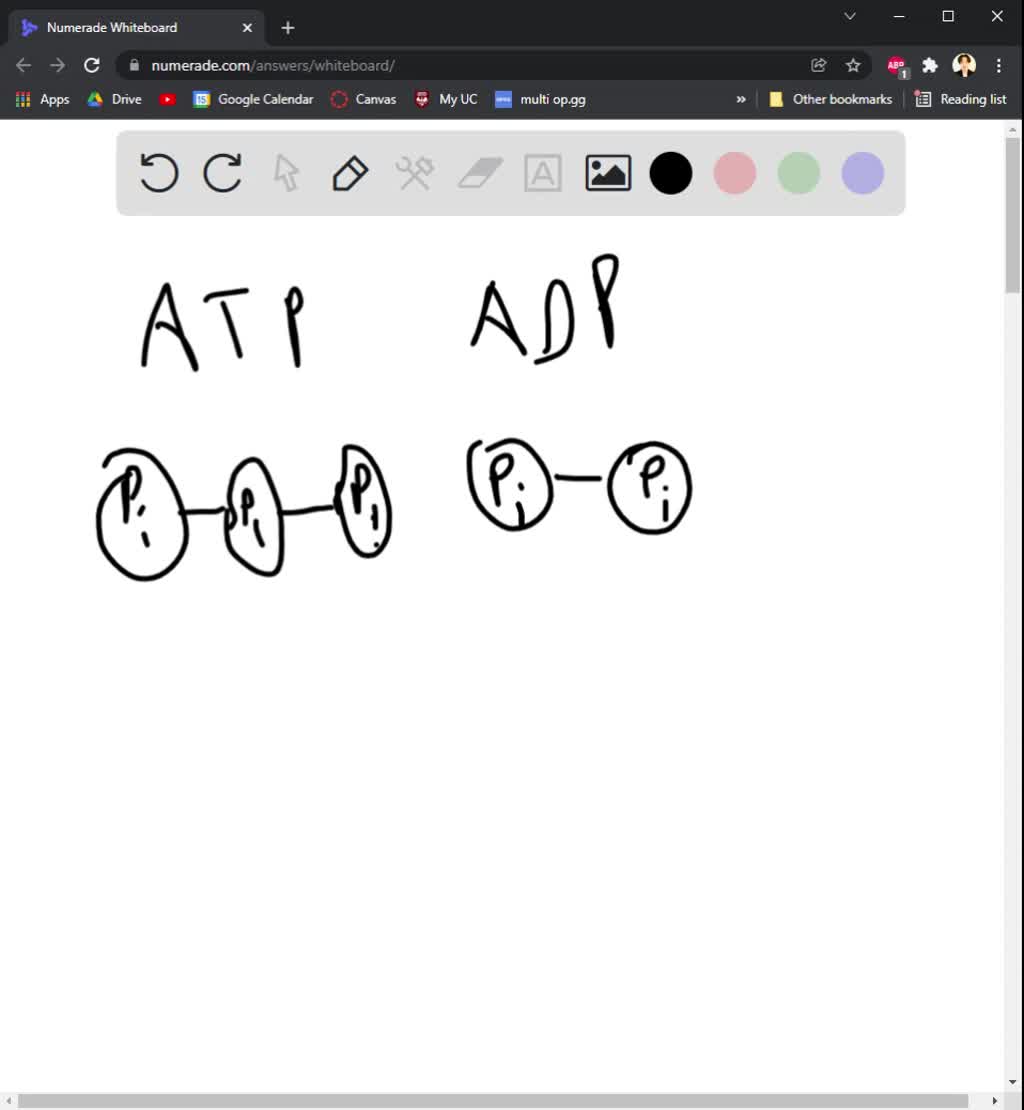 SOLVED: Explain how ADP and ATP are each like a battery. Which one is ...