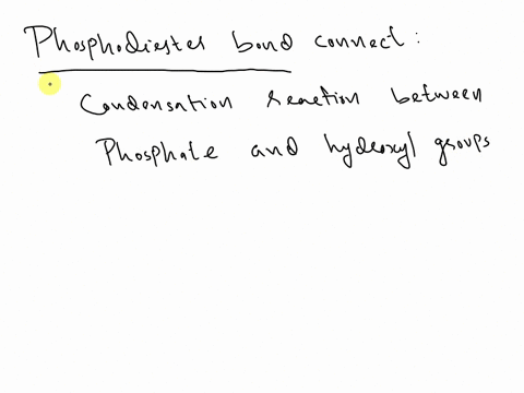 phosphodiester-bonds-connect-select-one-a-the-3-carbon-of-one-nucleotide-to-the-hydroxyl-group-oh-attached-to-the-5-carbon-on-another-nucleotide-b-fatty-acids-to-glycerol-molecules-c-the-3-c-67808