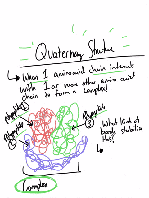 list-all-the-types-of-intermolecular-forces-aka-non-covalent-forces-known-to-stabilize-quaternary-structure-do-these-interactions-occur-primarily-between-the-side-chains-or-backbone-atoms-of-56428