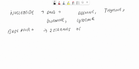 nucleotide-is-a-a-n-2-base-pentose-sugar-and-phosphoric-acid-b-nitrogen-hexose-sugar-and-phosphoric-acid-c-nitrogen-base-pentose-sugar-d-nitrogen-base-trioses-and-phosphoric-acid-51883