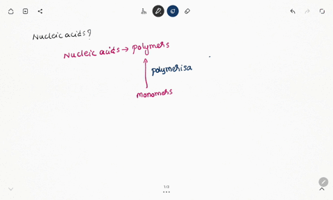 what-is-the-monomer-of-nucleic-acids-55296
