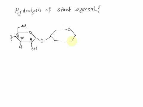 use-a-segment-of-a-starch-molecule-to-write-the-hydrolysis-that-is-catalyzed-by-a-alpha-amylase-68568