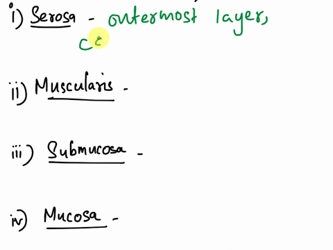 describe-the-typical-histology-of-the-wall-of-the-alimentary-canal-explain-the-variation-in-this-general-structure-that-is-specific-to-the-functions-of-the-stomach-93928