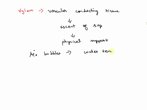 the-formation-of-an-air-bubble-in-the-xylem-is-called-a-agitation-c-adhesion-b-cohesion-d-cavitation-11303