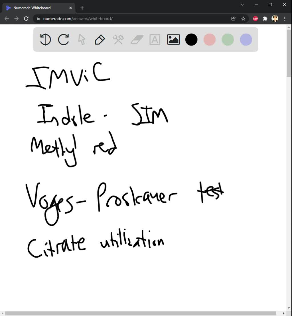 solved-what-are-imvic-tests-how-would-you-identify-e-coli-as-a-sewage