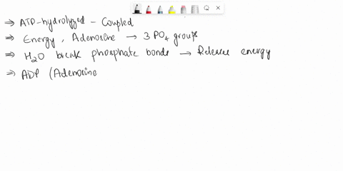 explain-how-atp-is-hydrolyzed-for-energy-and-how-atp-hydrolysis-can-be-coupled-to-other-chemical-reactions-in-the-cell-21963