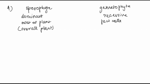 queston-1p6-wvhlch-of-the-following-is-not-true-concerning-the-sporophyte-and-gametophyte-generations-f-fkwering-plants-the-sametophyte-seneration-not-photoeyntheti-the-flwer-b-compoced-of-s-87835