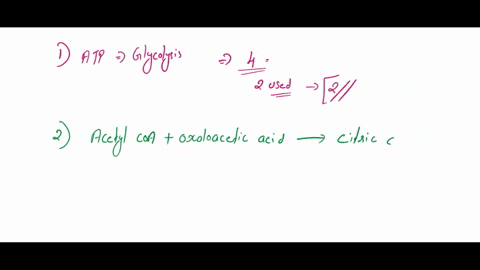 question-11-what-is-the-total-number-atp-molecules-involved-in-the-reactions-of-glycolysis-a4-b-6-c2-d8-question-12-which-of-the-following-molecules-reacts-with-acetyl-coa-in-the-citric-acid-08243