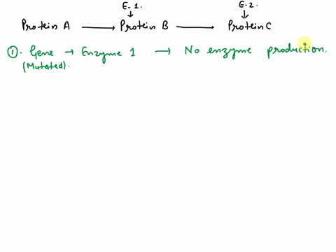 16the-following-is-a-simple-chemical-pathway-in-the-body-that-is-required-for-metabolism-enzyme1-enzyme-2-1-1-protein-aprotein-bprotein-c-a-if-the-gene-that-codes-for-enzyme-1-is-mutated-and-92874