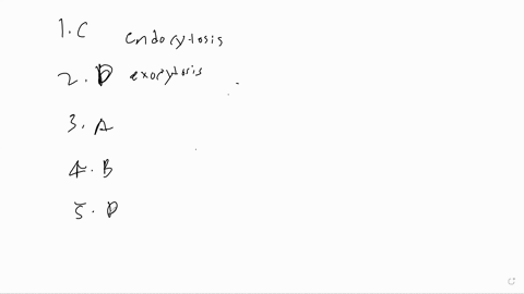 question-1-which-of-the-following-is-not-passive-transport-a-simple-diffusion-b-endocytosis-c-facilitated-diffusion-d-osmosis-question-2-the-process-by-which-macromolecules-within-the-cell-a-11764