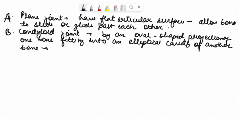 exercise-7b-2-syrovial-joints-suft-bodiicd-acording-telolng-tafllz-occ-anftion-lhdthc-x-atrectural-flatn-ter-allowing-nosi-oreer-hehi-rant-ier-bns-clre-have-ibr-sniculat-surtacce-4a-eez-dona-90534