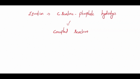 41-bioenergetics-creatine-creatine-phosphate-is-a-high-energy-molecule-ie-it-has-large-negative-standard-free-energy-for-hydrolysis-4g-431-kjlmol-creatine-phosphate-hydrolysis-fiom-water-can-60575