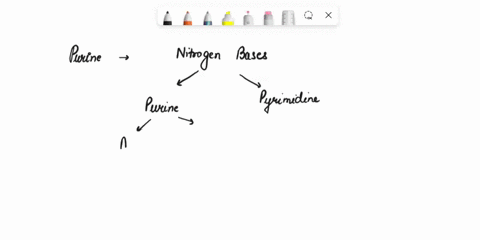 ftpie-athsmina-purint-punint-doxyribose_-cosin-e-ribose-phosphale-ishich-ol-the-tollerci-itis-the-most-conunon-statements-rcgurding-walcn-biologica-fonn-0f-dna-crick-tnoadcl-of-dna-the-dya-i-78433