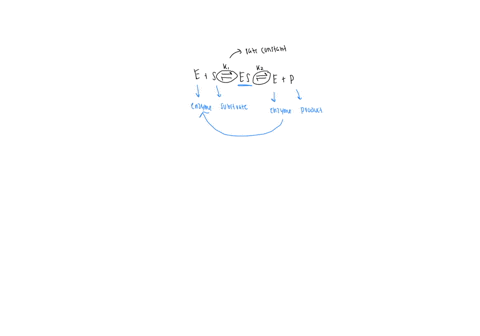 mechanism-for-enzyme-action-used-as-a-78-write-out-the-equation-that-describes-the-list-the-important-assumptions-used-by-michaelis-model-by-michaelis-and-menten-lnd-menten-to-derive-a-rate-91923